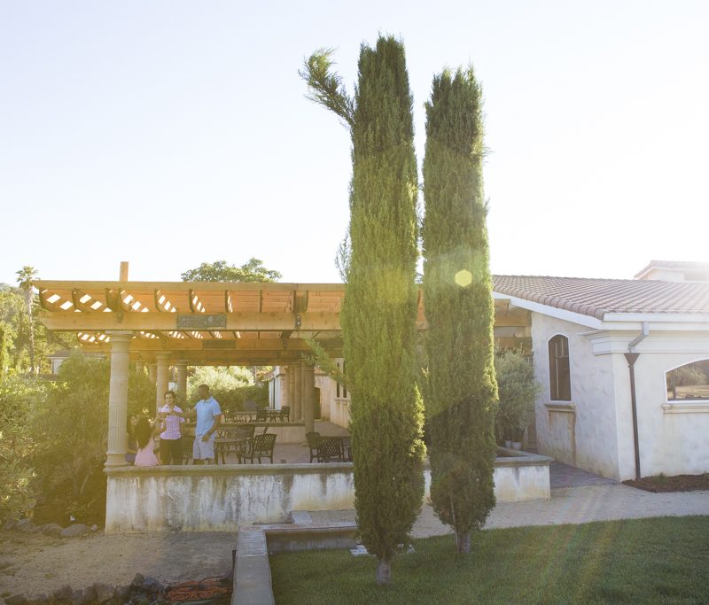 Afternoon sun filters across the tasting room at a winery in Hopland, California.